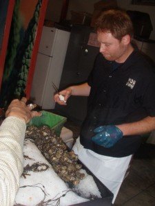 hog island oysters